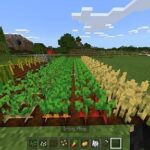 Как построить ферму в Майнкрафте