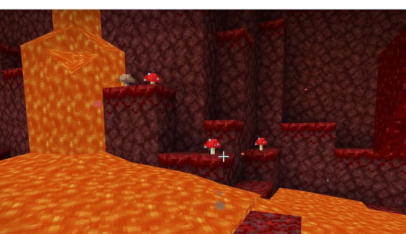 Как выращивать грибы в Minecraft2 »/> </p>
<p> </p>
<p>Если вы хотите создать свою собственную грибную ферму, вы можете использовать множество различных методов. Во-первых, вы должны создать огороженную секцию, чтобы некоторые живущие в Нижнем мобы не мешали вашему урожаю. Еще кое-что, что вам следует подумать, - это приобрести себе фонарь души, чтобы держать определенных мобов подальше от области, одновременно давая свет, достаточно слабый для появления ваших грибов. </span> </p>
<p> </p>
<p> <img src =