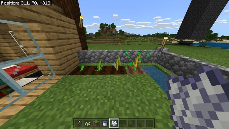 Как вырастить тыквы в Minecraft6